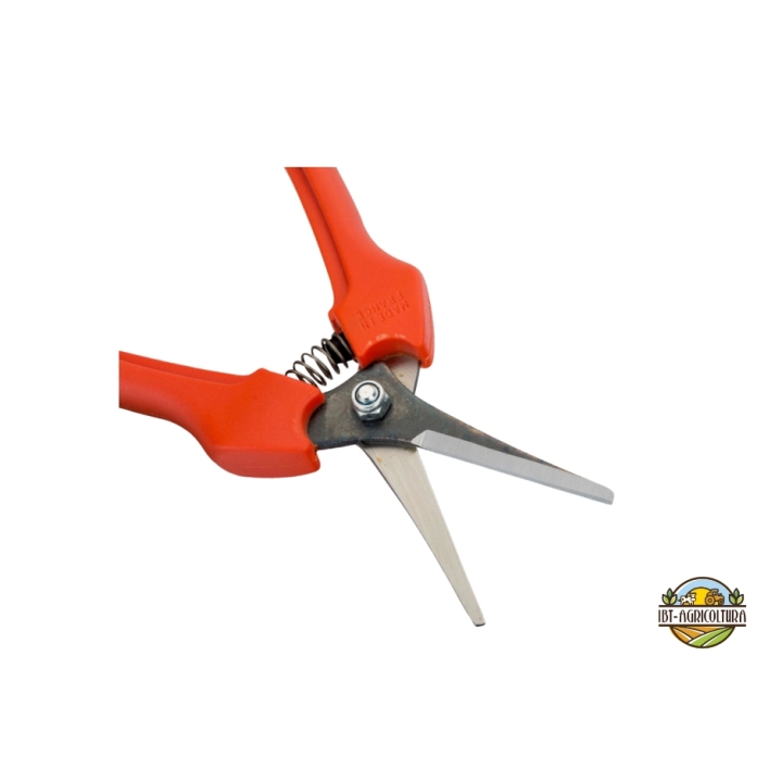 Forbice Cogliuva Dritto Pradines P128-19 Bahco