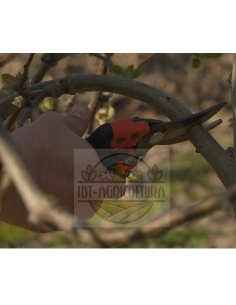 Cesoie PXR-M1 Ergo Impugnatura  Rotante Bahco