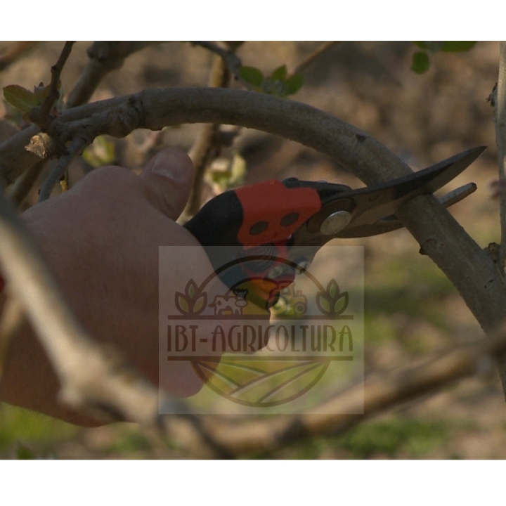 Cesoie PXR-M1 Ergo Impugnatura  Rotante Bahco