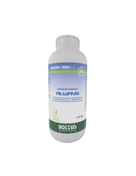 Master Green Life Always Kg 1 Bottos