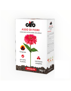 Concime Asso di fiori KG 1 Cifo