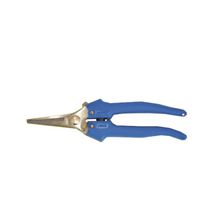 Forbice Cogliuva Inox Grande Stretta