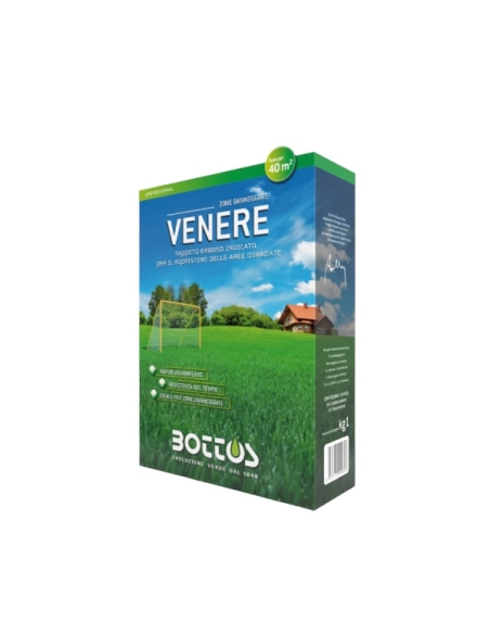 Sementi Zollaverde Venere Kg 1 Bottos