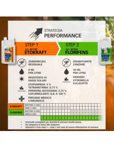 Geyser Nebulizzatore 4 LT Li-Ion Batteria a litio