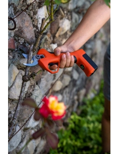 Forbice Kantia E-22 TR