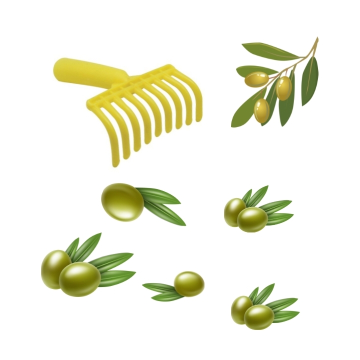 Rastrello a 9 denti per raccolta olive