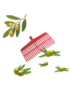 Scopa per olive rigida con rinforzo 22 denti rossa