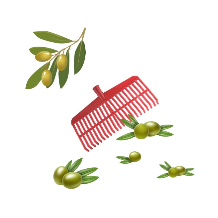 Scopa per olive rigida con rinforzo 22 denti rossa