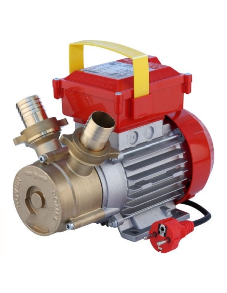 Pompa Elettrica per travaso Rover 30 CE