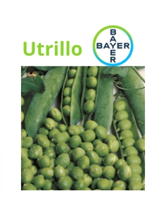 Pisello UTRILLO BAYER varietà mezza rama  KG 1