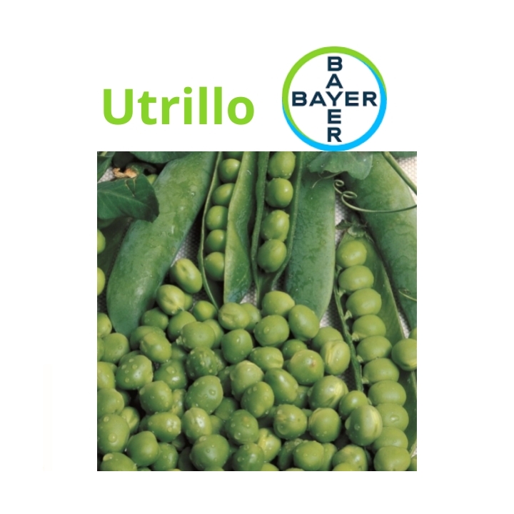 Pisello UTRILLO BAYER varietà mezza rama  KG 1