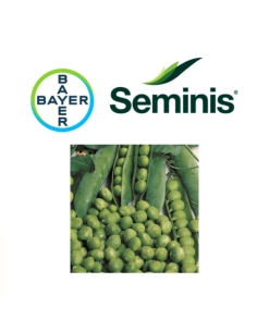 Pisello UTRILLO BAYER varietà mezza rama  KG 1