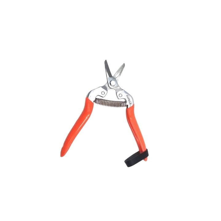 Forbice Agrumi Lama Curva Leggera