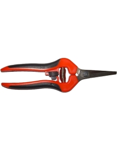 Forbice Cogliuva Jolly