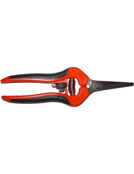 Forbice Cogliuva Jolly