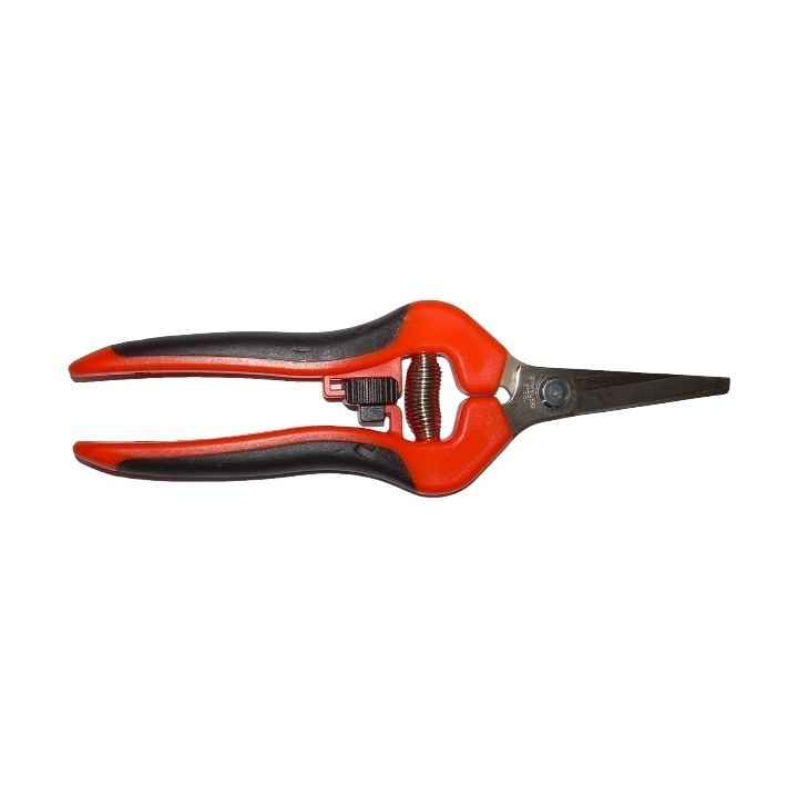 Forbice Cogliuva Jolly