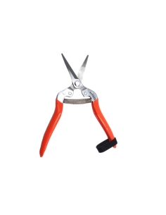 Forbice Cogliuva Lama Lunga Leggera