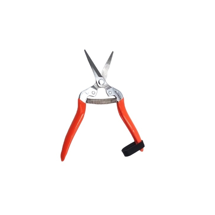 Forbice Cogliuva Lama Lunga Leggera