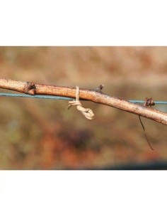 Stofix Stocker piattina animata carta bobina 500 mt art. 20500