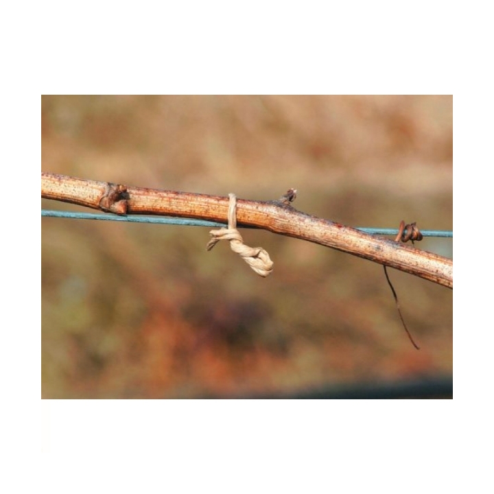 Stofix Stocker piattina animata carta bobina 500 mt art. 20500