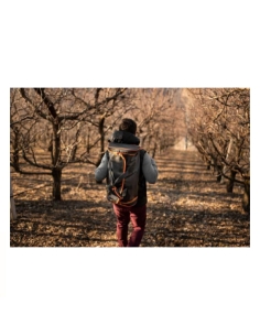 Kit Forbice + Motosega Stocker