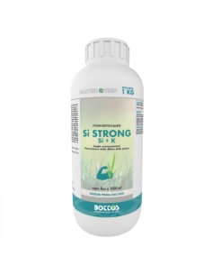 Master Green SI STRONG Kg 1 Bottos