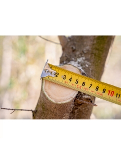 Motosega Elettrica 110 mm BCL15IB Bahco a Batteria