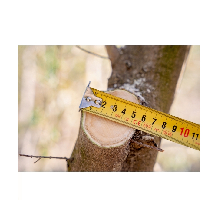 Motosega Elettrica 110 mm BCL15IB Bahco a Batteria