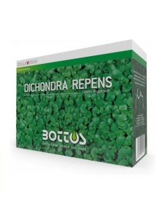 Sementi Zollaverde Dicondra Repens Kg 1 Bottos