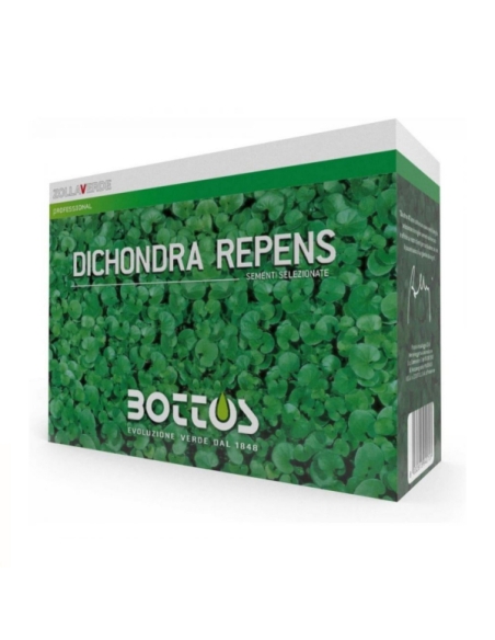 Sementi Zollaverde Dicondra Repens gr 500 Bottos