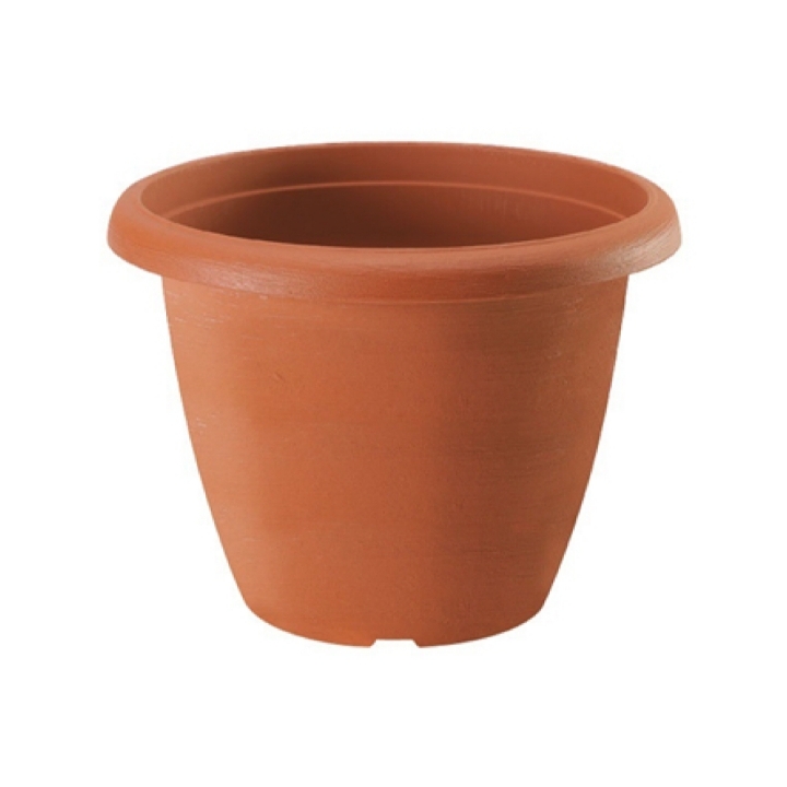 TERRAE Vaso Campana Terracotta