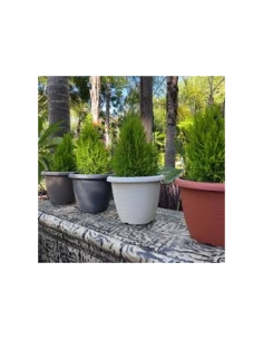 TERRAE Vaso Campana Terracotta