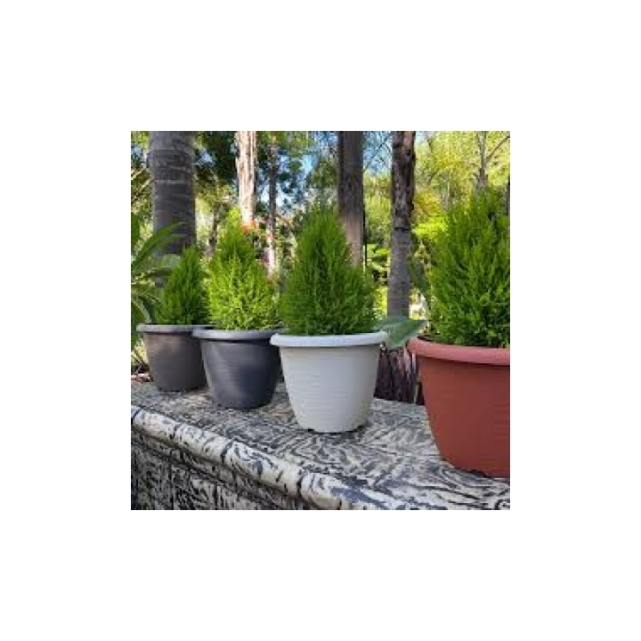 TERRAE Vaso Campana Terracotta