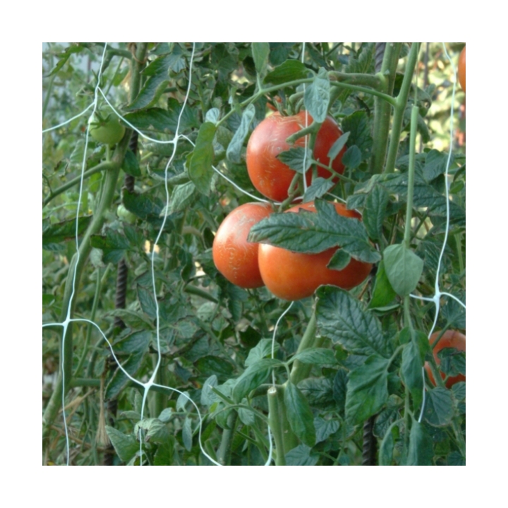 Rete sostegno ortaggi mt 1,70x100