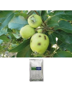 VitiKappa (Bicarbonato di potassio) KG 5  reg.16976