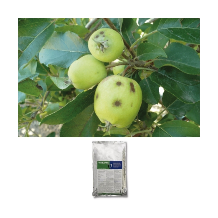 VitiKappa (Bicarbonato di potassio) KG 5  reg.16976