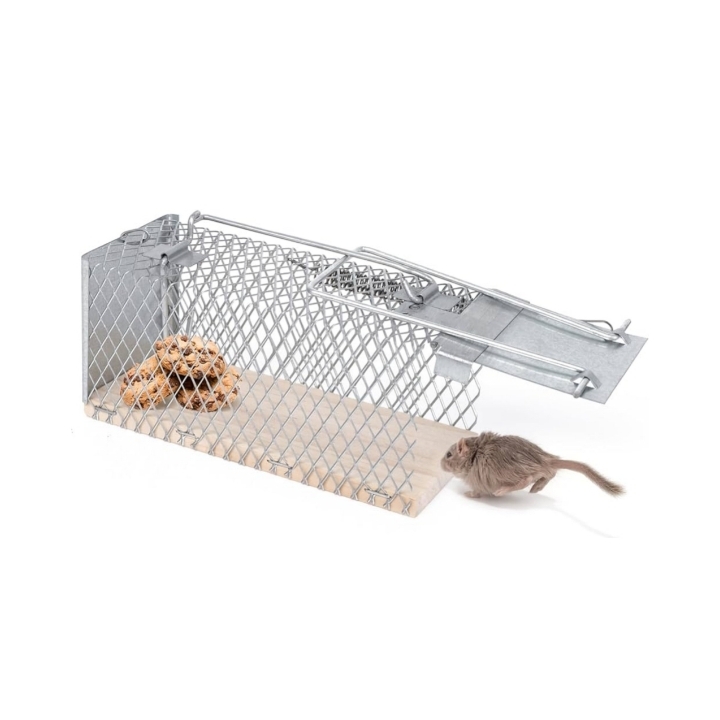 Trappola Topi a Gabbietta