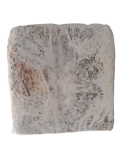 Balletta substrato per la produzione di funghi cardoncelli