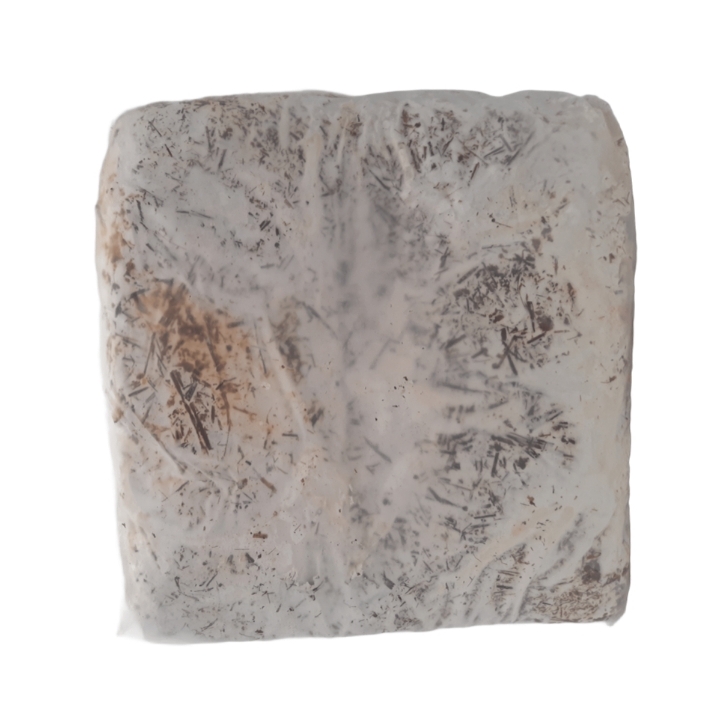 Balletta substrato per la produzione di funghi cardoncelli