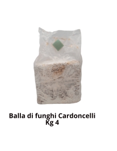 Balletta substrato per la produzione di funghi cardoncelli