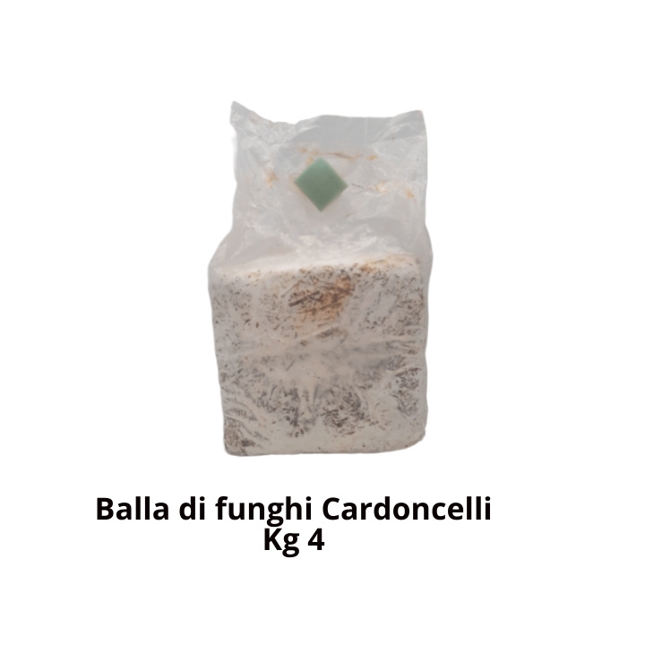 Balletta substrato per la produzione di funghi cardoncelli