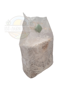 Balletta substrato per la produzione di funghi cardoncelli