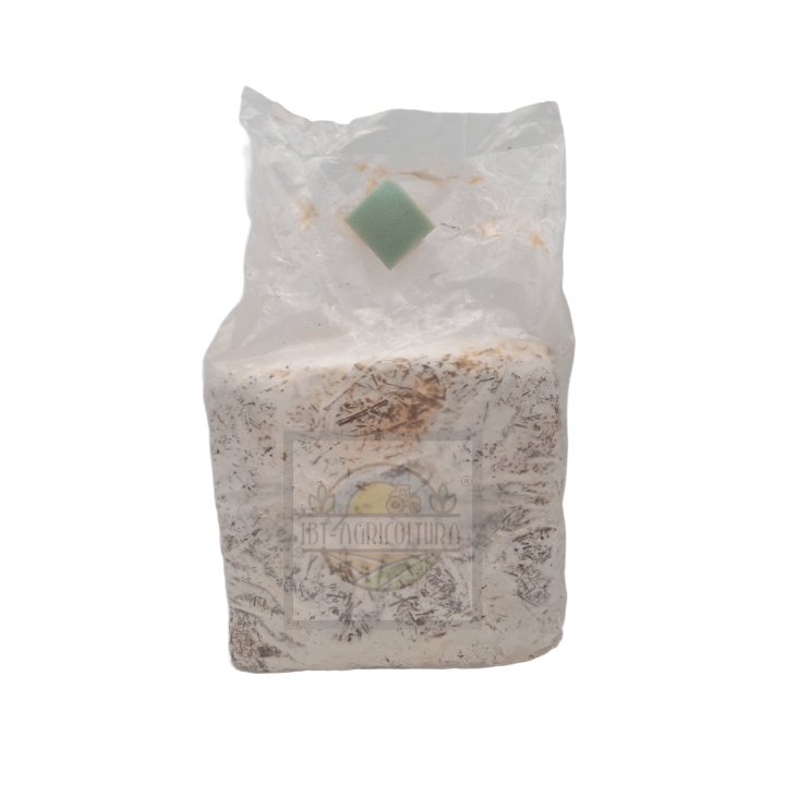 Balletta substrato per la produzione di funghi cardoncelli