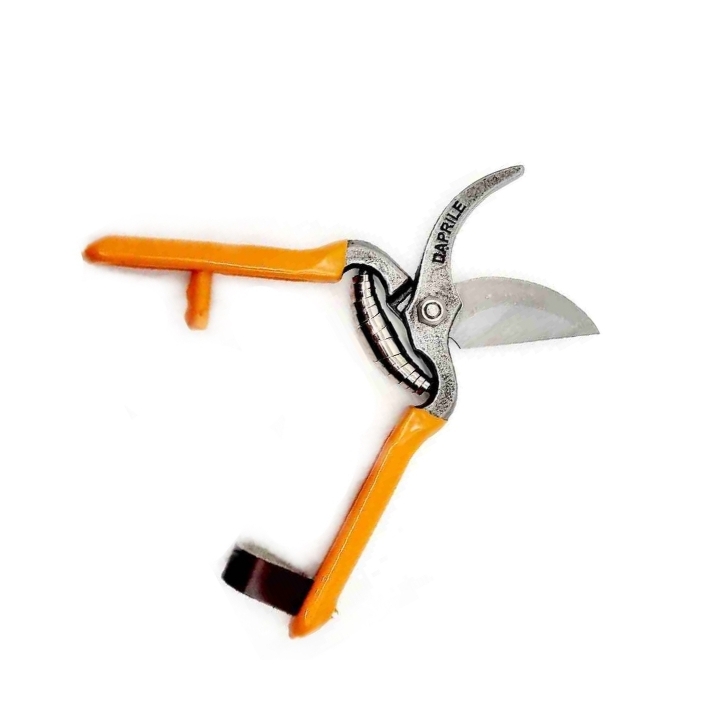 Forbici per vendemmia  manico plastica cm 18