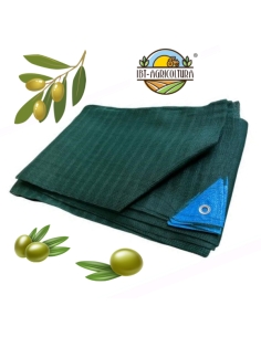 rete olive grande formato raccolta olive