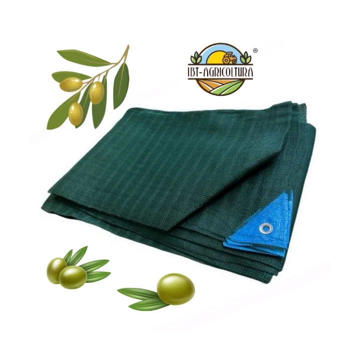 rete olive grande formato raccolta olive
