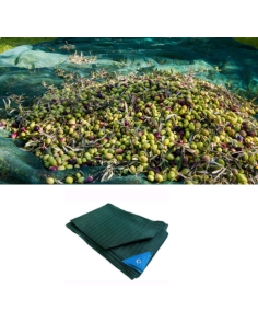 rete olive grande formato raccolta olive