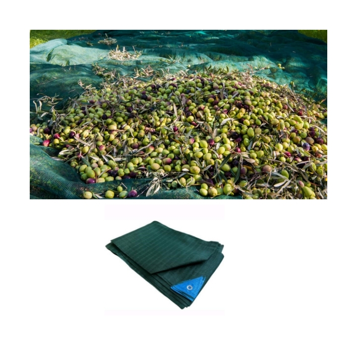 rete olive grande formato raccolta olive
