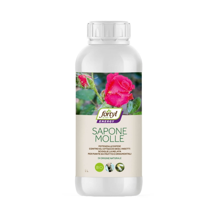 Fortyl Sapone Molle LT 1