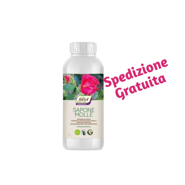 Fortyl Sapone Molle LT 1